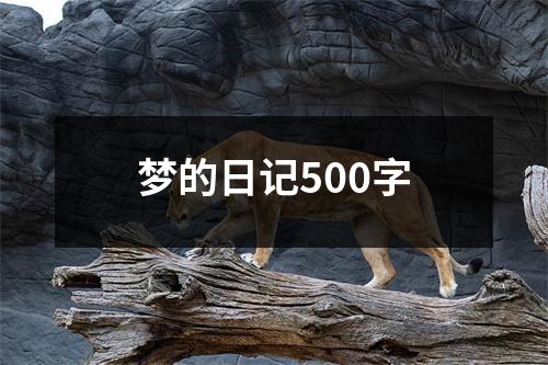 梦的日记500字