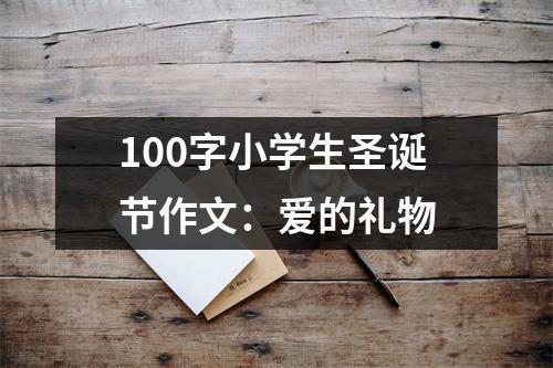 100字小学生圣诞节作文：爱的礼物