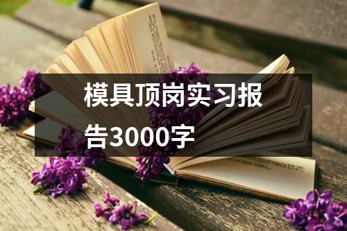 模具顶岗实习报告3000字