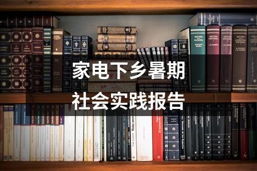 家电下乡暑期社会实践报告