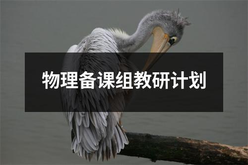 物理备课组教研计划