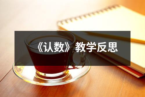 《认数》教学反思