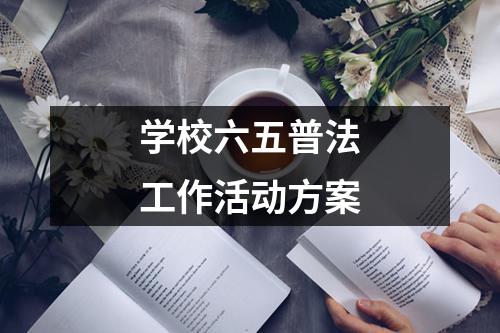 学校六五普法工作活动方案