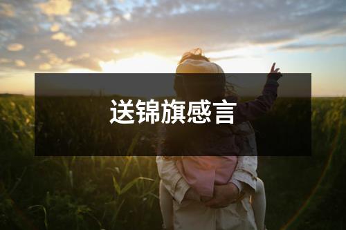 送锦旗感言