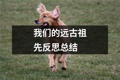 我们的远古祖先反思总结