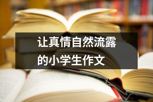 让真情自然流露的小学生作文