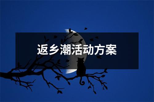 返乡潮活动方案