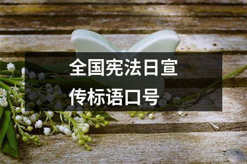 全国宪法日宣传标语口号