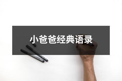 小爸爸经典语录