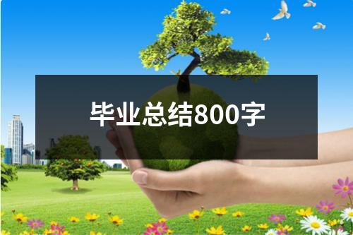 毕业总结800字