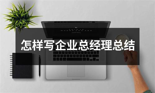 怎样写企业总经理总结