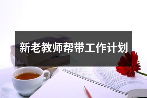 新老教师帮带工作计划