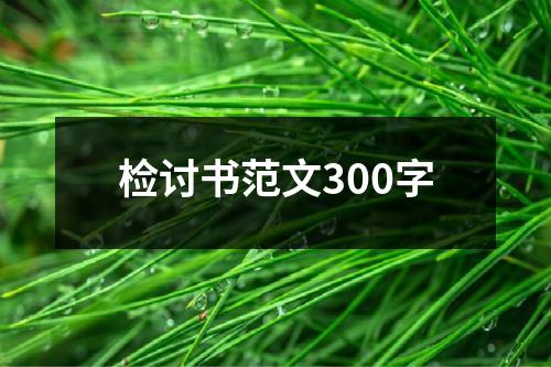 检讨书范文300字