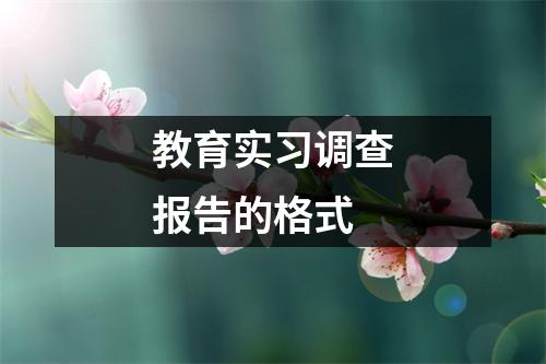 教育实习调查报告的格式