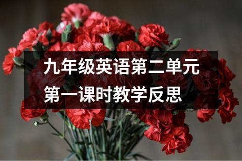 九年级英语第二单元第一课时教学反思