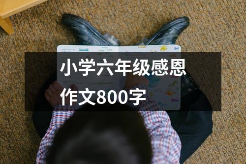 小学六年级感恩作文800字