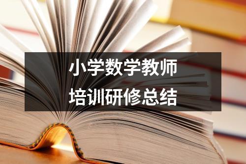 小学数学教师培训研修总结