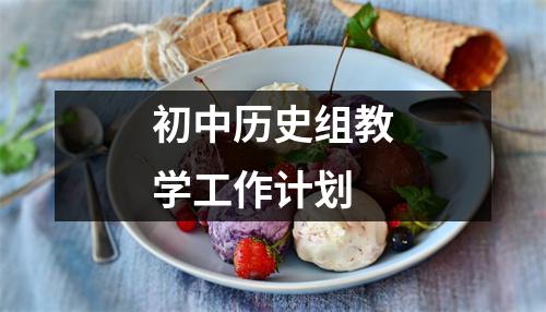 初中历史组教学工作计划