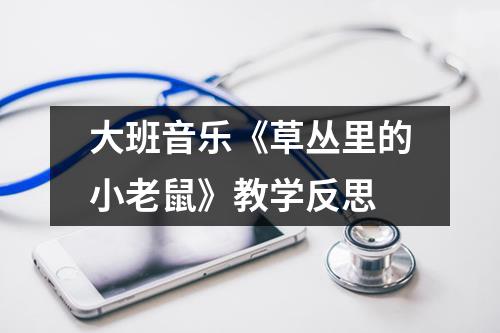 大班音乐《草丛里的小老鼠》教学反思