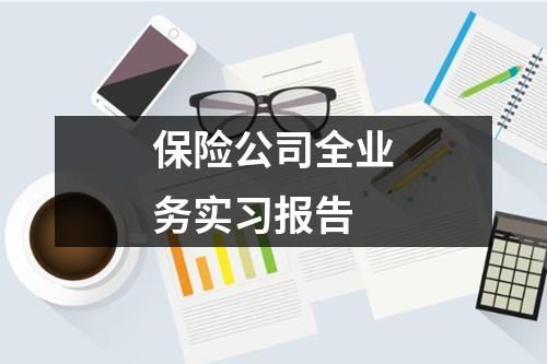 保险公司全业务实习报告