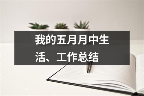 我的五月月中生活、工作总结