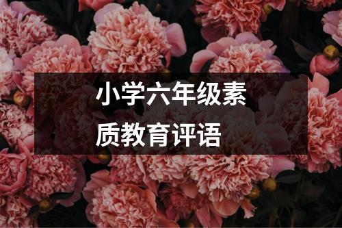 小学六年级素质教育评语