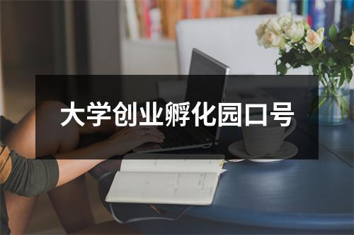 大学创业孵化园口号