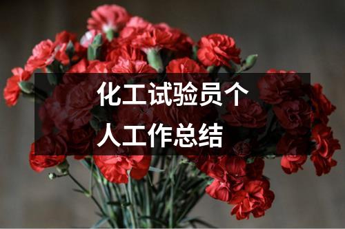 化工试验员个人工作总结