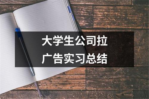 大学生公司拉广告实习总结