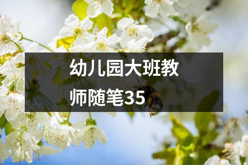 幼儿园大班教师随笔35