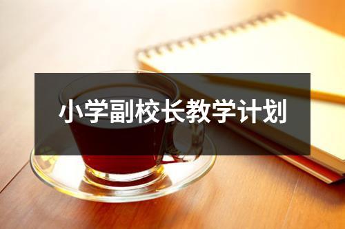 小学副校长教学计划