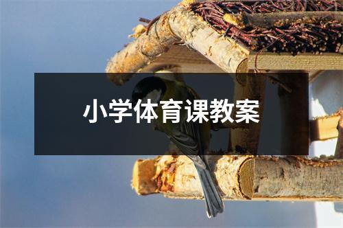 小学体育课教案