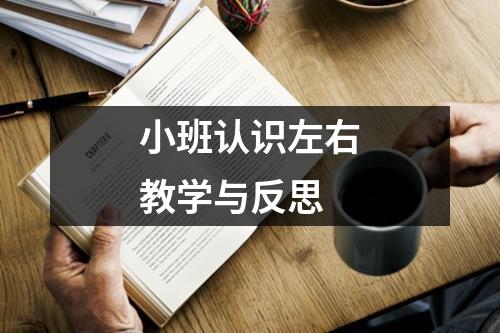 小班认识左右教学与反思