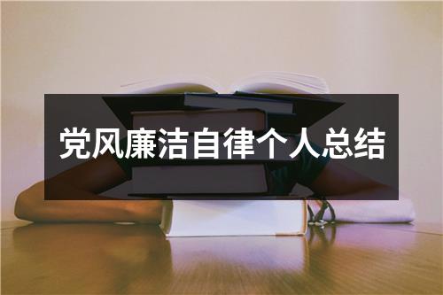 党风廉洁自律个人总结