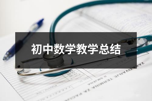 初中数学教学总结