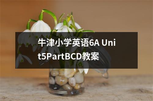 牛津小学英语6A Unit5PartBCD教案