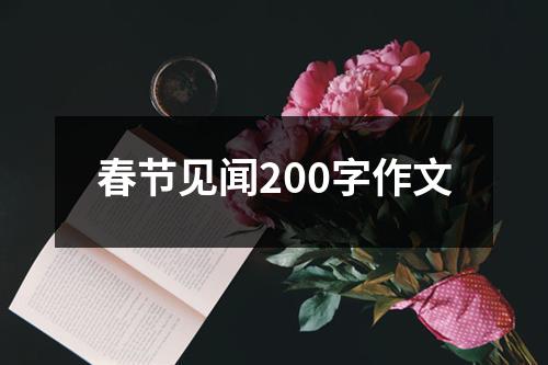 春节见闻200字作文