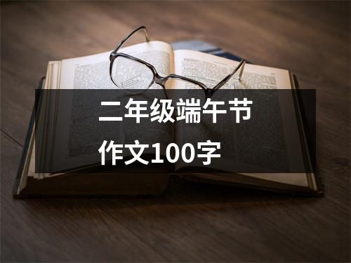 二年级端午节作文100字