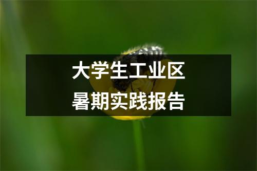 大学生工业区暑期实践报告