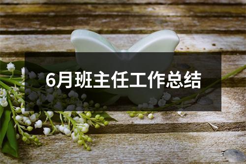 6月班主任工作总结