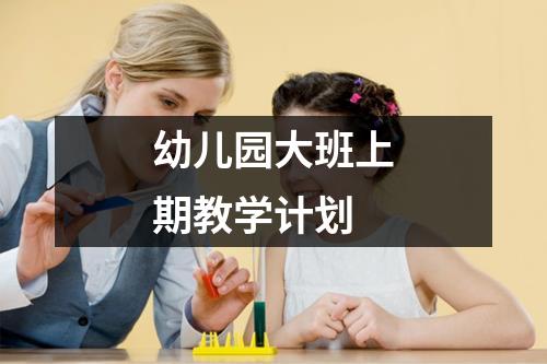 幼儿园大班上期教学计划