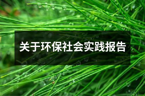 关于环保社会实践报告