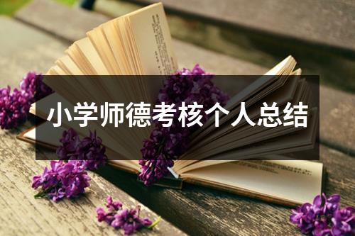 小学师德考核个人总结