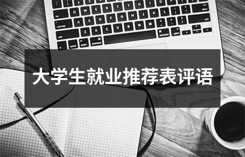 大学生就业推荐表评语