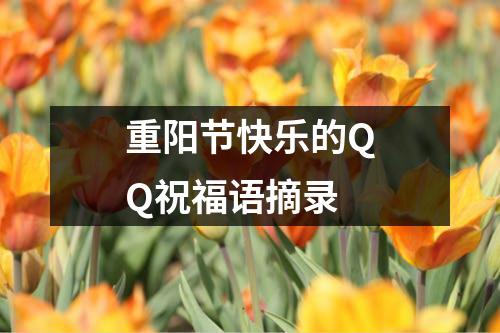 重阳节快乐的QQ祝福语摘录