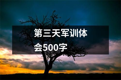 第三天军训体会500字