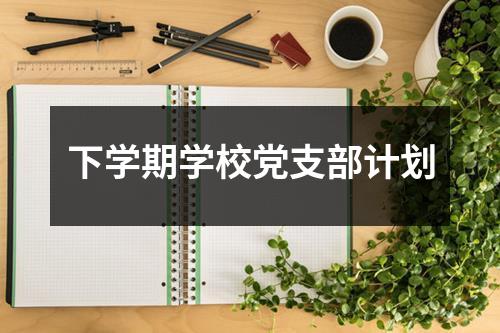 下学期学校党支部计划