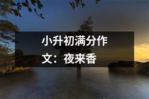 小升初满分作文：夜来香