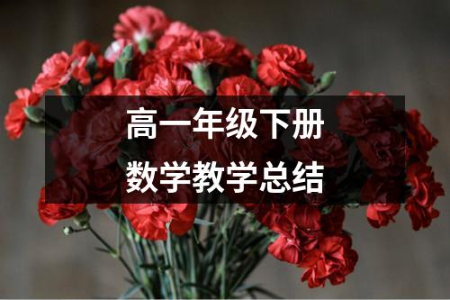 高一年级下册数学教学总结