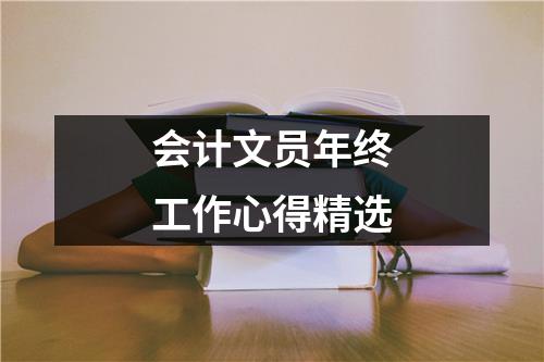 会计文员年终工作心得精选